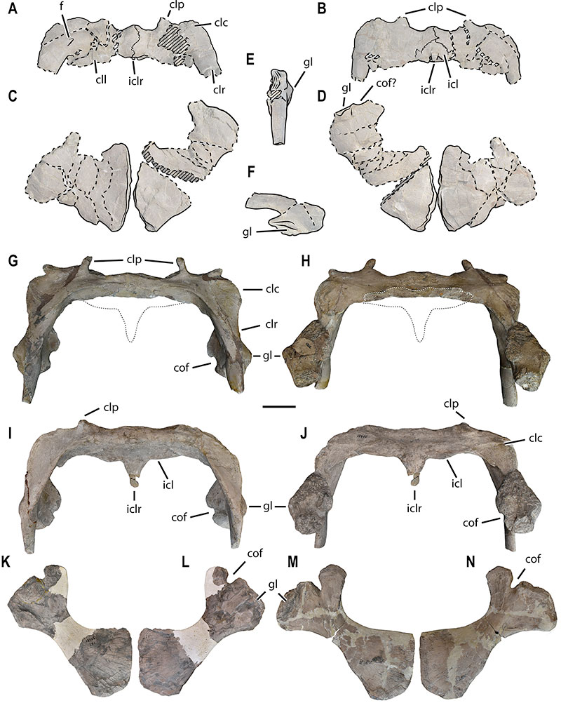 figure s1 9