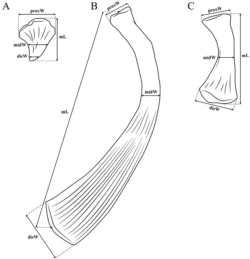 figure s2 2