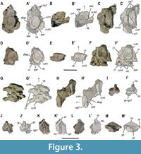 s figure3