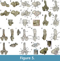 s figure5