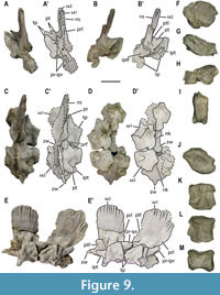 s figure9