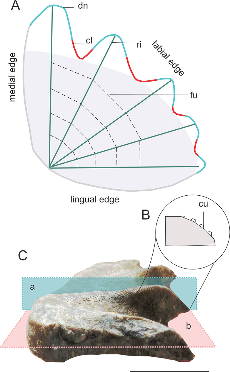 figure2