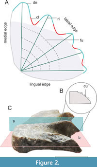 s figure2