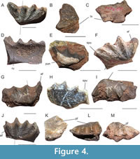 s figure4