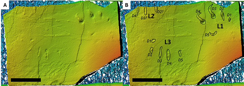 figure3