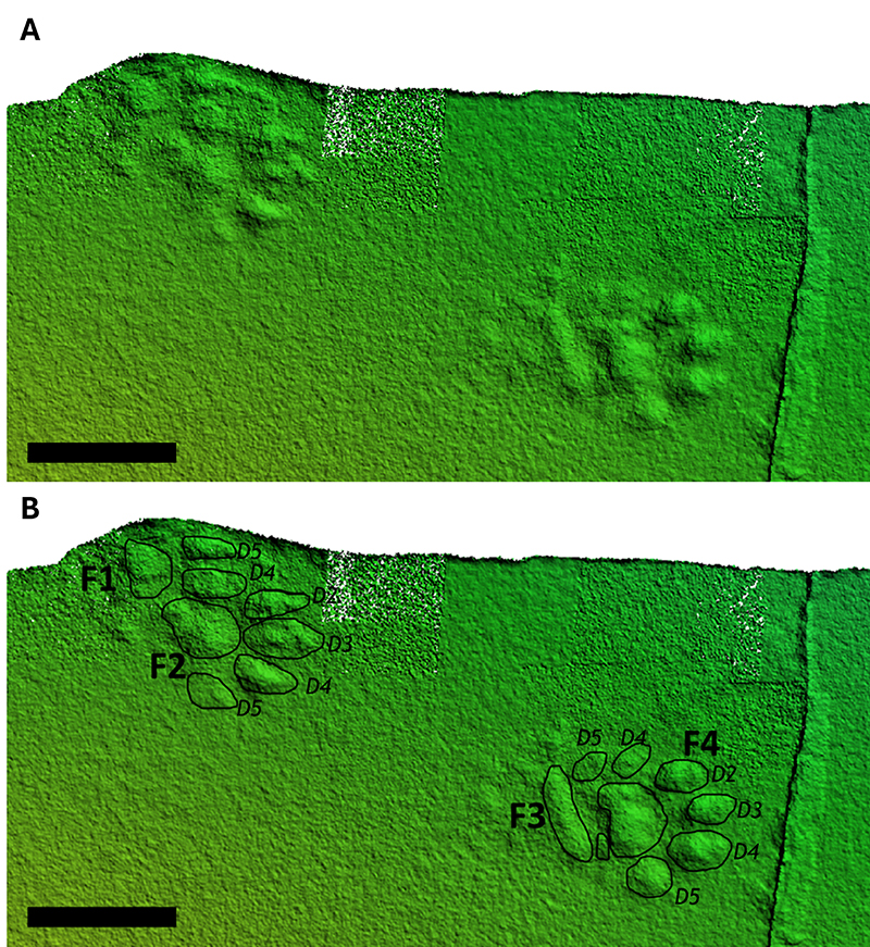 figure4