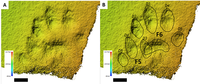 figure5