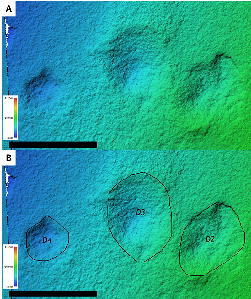 John Day Fossil Tracks: Figures