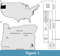 s figure1