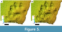 s figure5