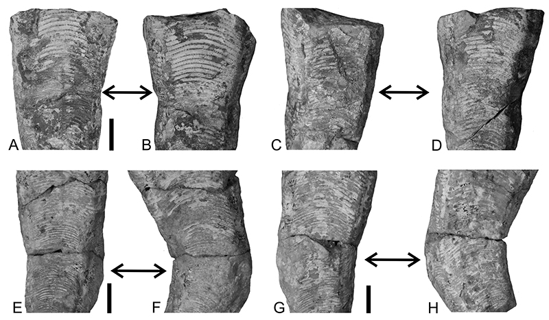 figure10