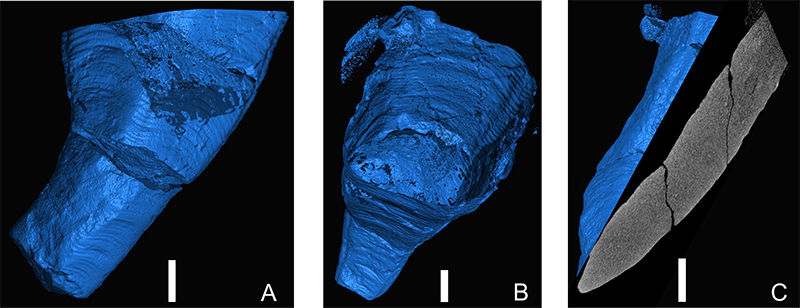 figure5