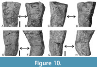 s figure10