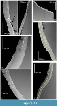 s figure11