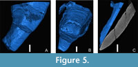 s figure5