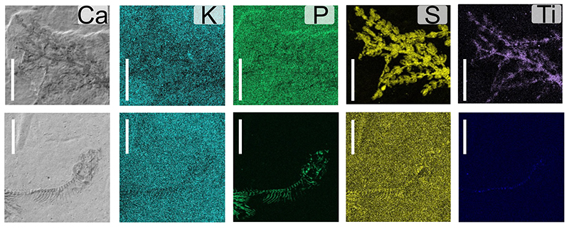 figure3