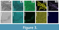 s figure3