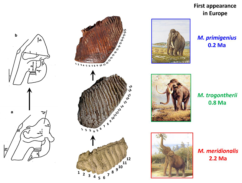 figure1