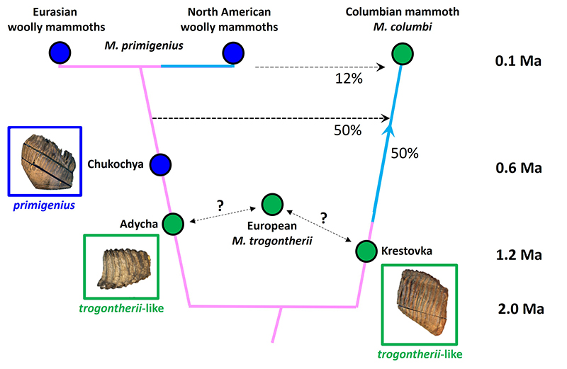 figure4