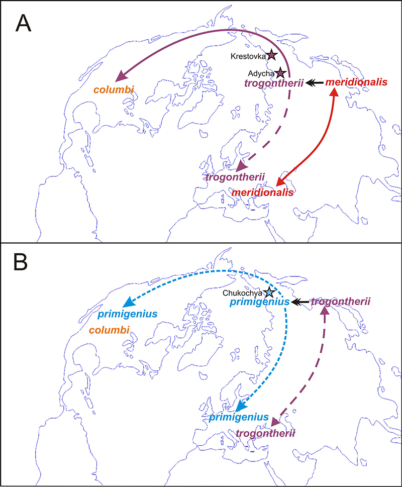 figure5