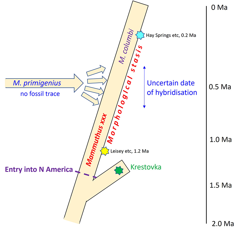 figure7