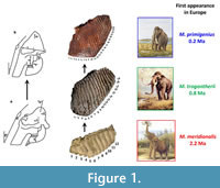 s figure1