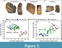 s figure3