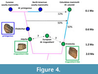 s figure4