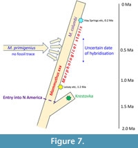 s figure7