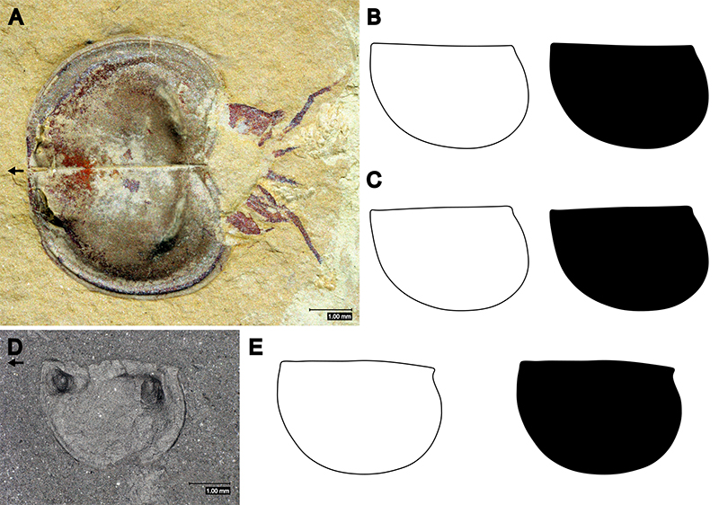 figure1