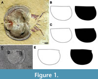 s figure1