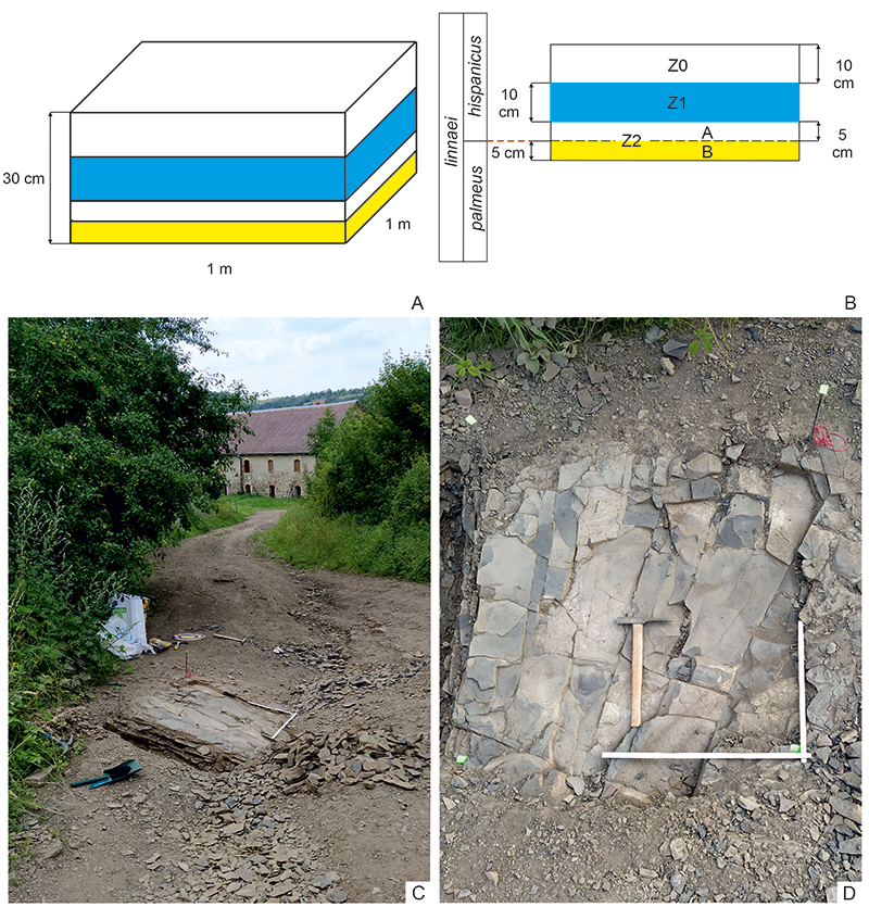 figure3