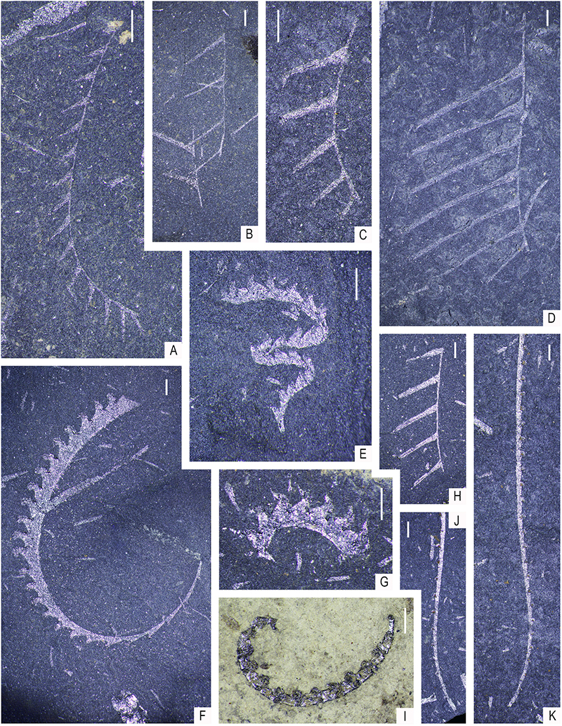 figure5