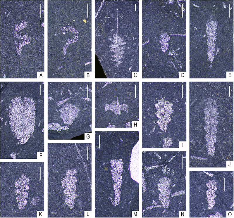 figure6