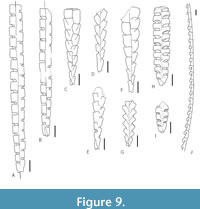 s figure9