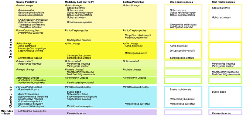 figure11