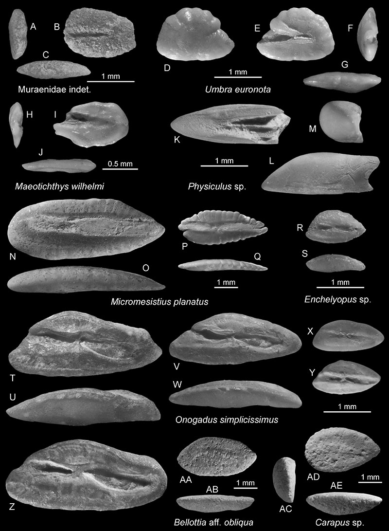 figure2