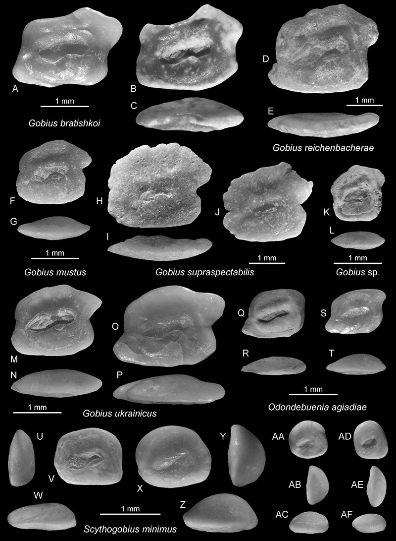 figure3