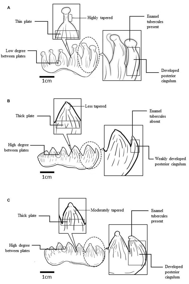 figure10