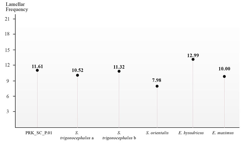 figure11
