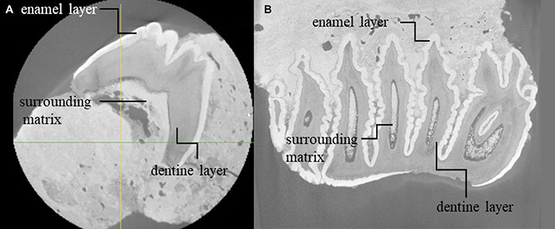 figure12