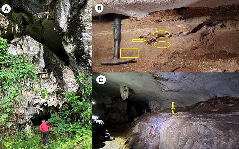 figure3