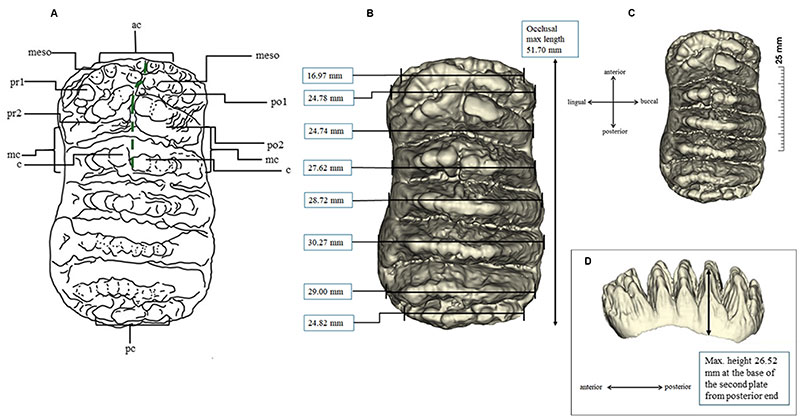 figure5