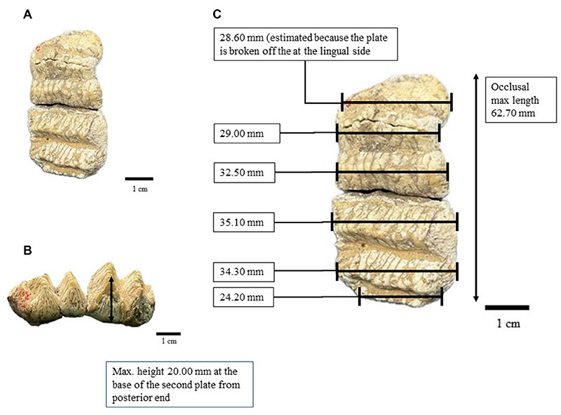 figure7