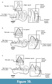s figure10