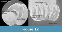 s figure12