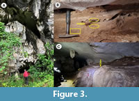s figure3