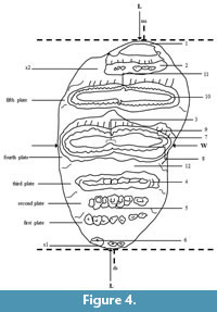s figure4