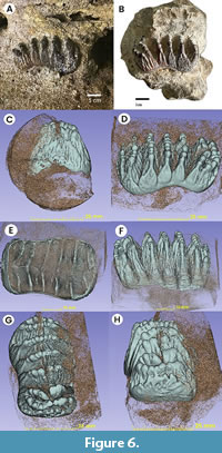 s figure6