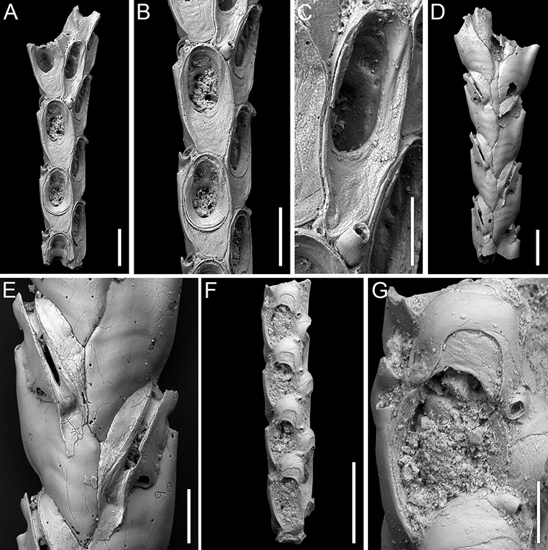 figure12